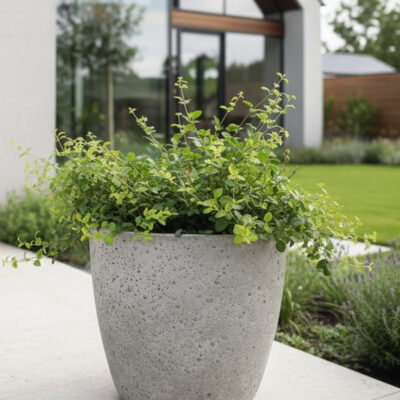 Donica betonowa AURELIA Szara 25x20 na taras
