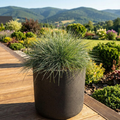 Donica betonowa SPHERA (czarna) 23×20 okrągła