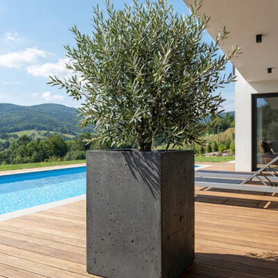 Donica betonowa CALDEA (czarna) 40x40x60 do ogrodu